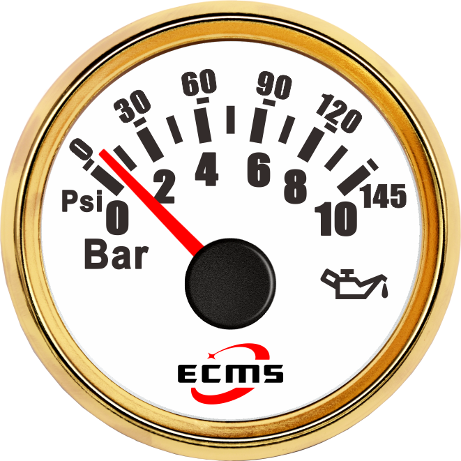ECP/ECP2-10Bar压力表