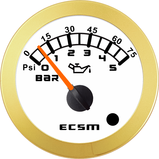 ECT-5Bar压力表-带报警