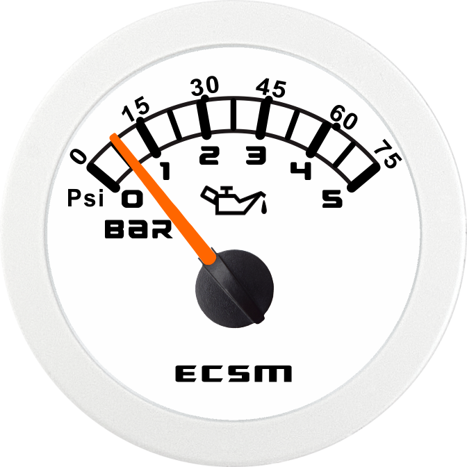 ECT-5bar压力表