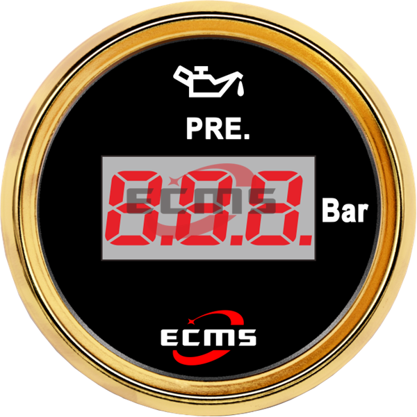 ECP/ECP2-Digital pressure gauge