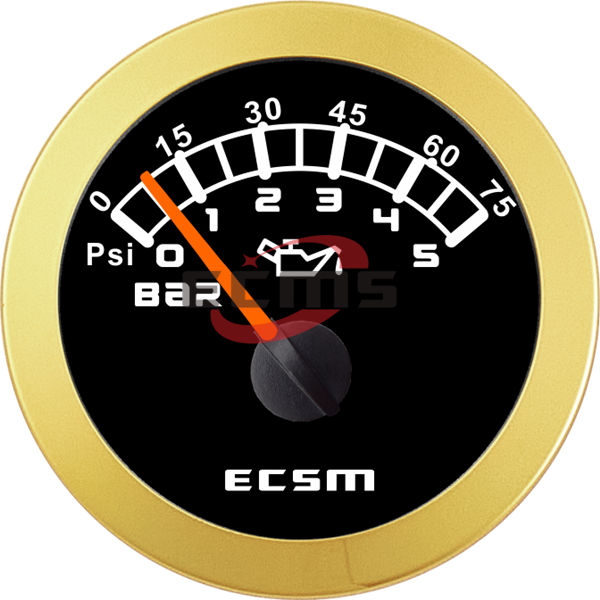 ECT-Pressure gauge 5bar