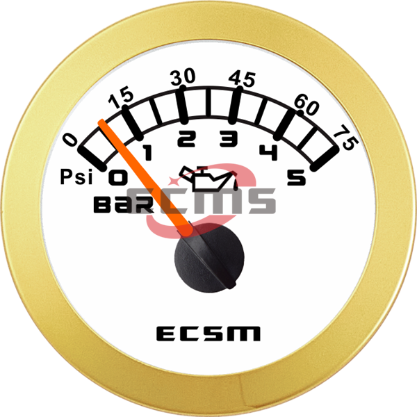 ECT-Pressure gauge 5bar