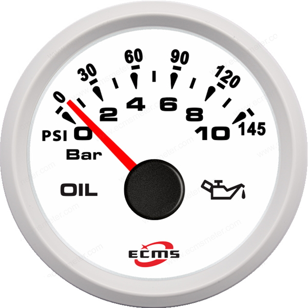 ECH-Pressure gauge 10Bar